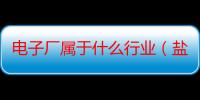 电子厂属于什么行业（盐城维信电子厂是做什么的）