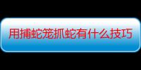 用捕蛇笼抓蛇有什么技巧嘛（用捕蛇笼抓蛇有什么技巧）