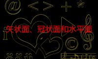 矢状面、冠状面和水平面分别是什么？