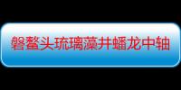 磐鳌头琉璃藻井蟠龙中轴线金銮殿的意思（磐鳌头琉璃藻井蟠龙中轴线金銮殿是什么意思）