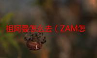 祖阿曼怎么去（ZAM怎么去）