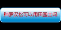 种罗汉松可以用田园土吗 罗汉松用什么土壤种比较好