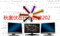 秋裹伏在什么时候2021