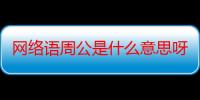 网络语周公是什么意思呀（网络语周公是什么意思）