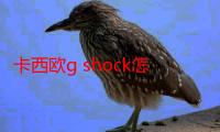 卡西欧g shock怎么调抬手灯（卡西欧g shock怎么调时间）