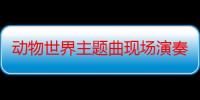 动物世界主题曲现场演奏视频（动物世界主题曲叫什么）