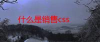 什么是销售css