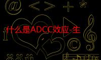 什么是ADCC效应-生活常识