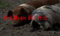 什么是upc 码（什么是up值）