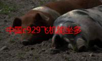 中国c929飞机能坐多少人（c9|9飞机能坐多少人）