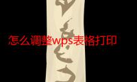 怎么调整wps表格打印区域（怎么调整wps表格边距）