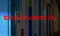 揭秘全网最火爆的搭子经济变现项目：垂直细分领域佼佼者，精准陪伴引领潮流