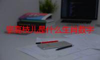 攀高枝儿是什么生肖数字.答案解释落实