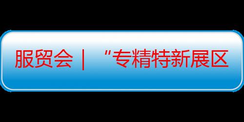 服贸会｜“专精特新展区”展示北京未来产业新成果