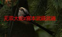 无双大蛇z宫本武藏武器属性（无双大蛇z宫本武藏）