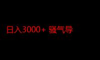 日入3000+ 骚气导航，多渠道矩阵玩法，实操教程