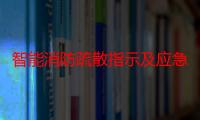 智能消防疏散指示及应急照明系统（关于智能消防疏散指示及应急照明系统介绍）