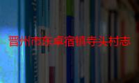 晋州市东卓宿镇寺头村志愿服务分队（关于晋州市东卓宿镇寺头村志愿服务分队介绍）