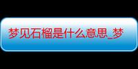 梦见石榴是什么意思_梦见石榴好不好-周公解梦