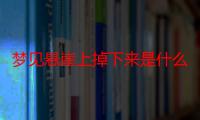 梦见悬崖上掉下来是什么意思_梦见悬崖上掉下来好不好-周公解梦