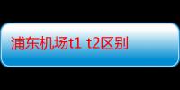 浦东机场t1 t2区别（上海浦东机场t1和t2有什么区别）