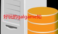 好玩的galgame知乎（好玩的galgame）