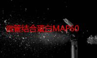 微管结合蛋白MAP60参与乙烯调控下胚轴生长的分子机理（关于微管结合蛋白MAP60参与乙烯调控下胚轴生长的分子机理介绍）