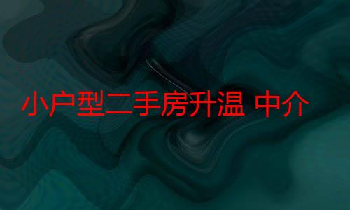 小户型二手房升温 中介带客看房忙不停