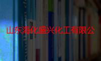 山东海化盛兴化工有限公司（关于山东海化盛兴化工有限公司介绍）