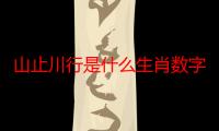 山止川行是什么生肖数字（山止川行是什么生肖）