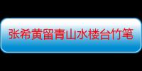 张希黄留青山水楼台竹笔筒（关于张希黄留青山水楼台竹笔筒介绍）