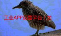 工业APP运营平台（关于工业APP运营平台介绍）