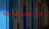 布巴卡尔·卡马拉（关于布巴卡尔·卡马拉介绍）