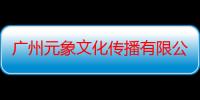 广州元象文化传播有限公司（关于广州元象文化传播有限公司介绍）