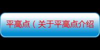 平高点（关于平高点介绍）