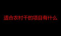 适合农村干的项目有什么，农村最好的投资项目（农村小型加工厂项目大全）