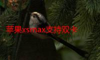 苹果xsmax支持双卡吗-生活常识