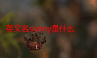 英文名sunny是什么意思（英文名sunny是什么意思）