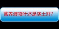 营养液喷叶还是浇土好?掌握了这些自己也可以配营养液