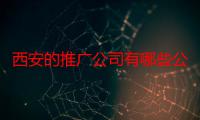 西安的推广公司有哪些公司