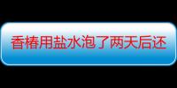 香椿用盐水泡了两天后还能吃吗