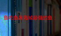 鱼吃鱼各海域最强的鱼：副本挑战策略与技巧分享