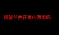 鹤望兰养在室内有毒吗 鹤望兰怎样养花开旺盛