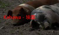 Kahawa - 埃塞俄比亚咖啡