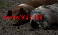 borrow的过去式是什么怎么写?谢谢啦（borrow的过去式是什么）