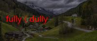 fully（dully）