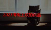 2023清明上坟的供品几样好