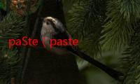 paSte（pastel系统）