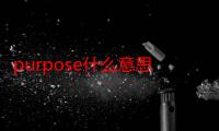 purpose什么意思（purpose有什么意思）