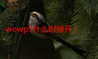 wowp5什么时候开（wow5 4什么时候开）